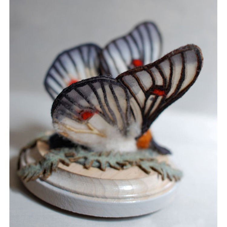 Lana Crooks - Butterfly by Lana Crooks