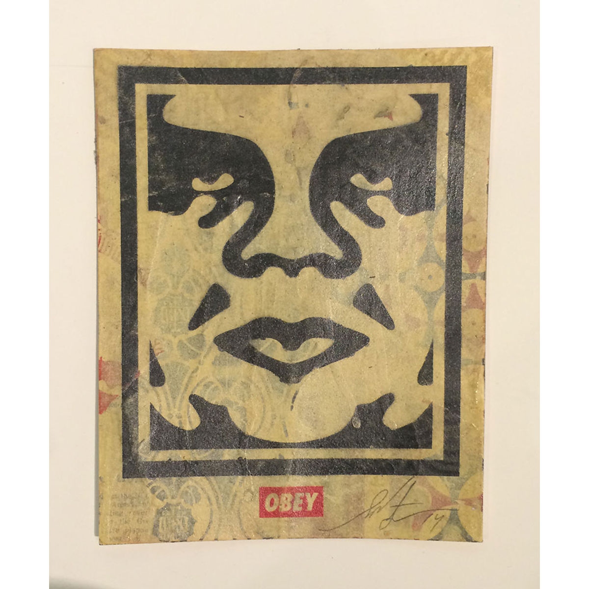 Shepard Fairey #1