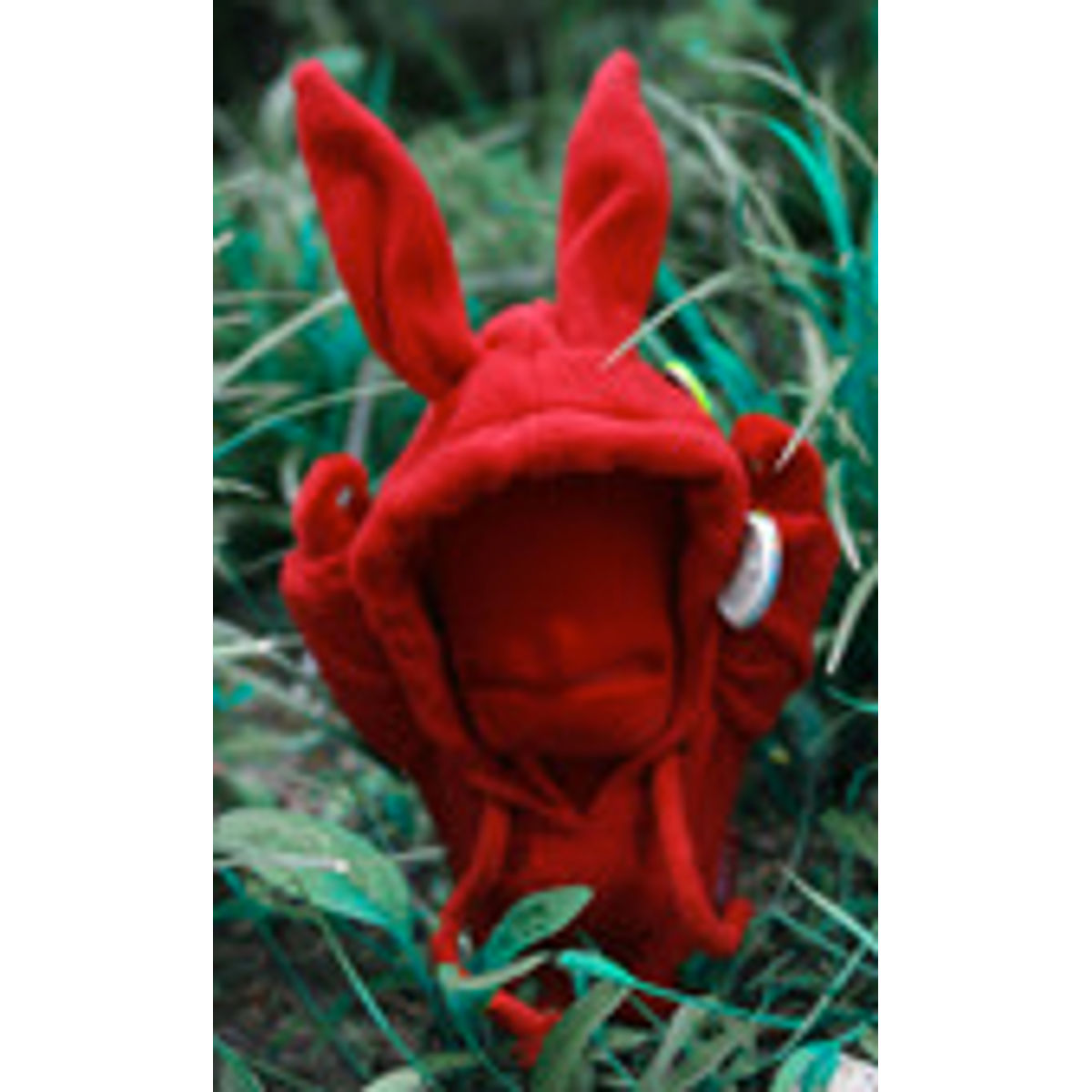 Red Rabbit Nothing Boy