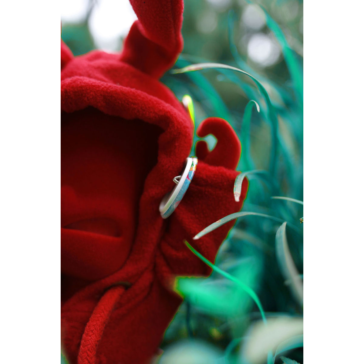 Red Rabbit Nothing Boy