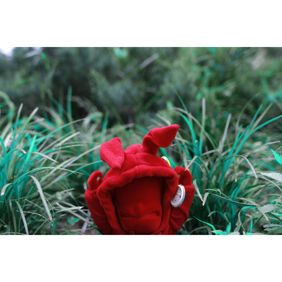 Red Rabbit Nothing Boy