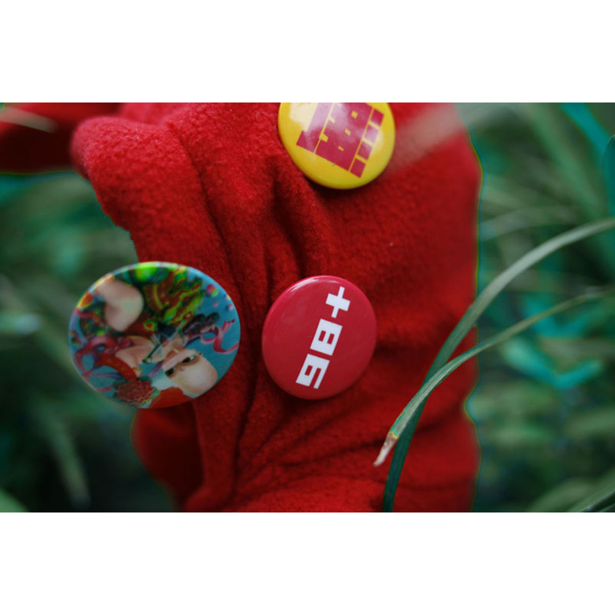 Red Rabbit Nothing Boy