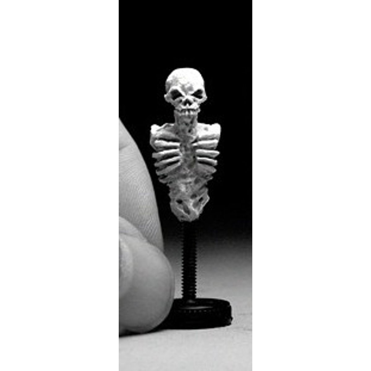 Micro Skeleton - Mail In Offer