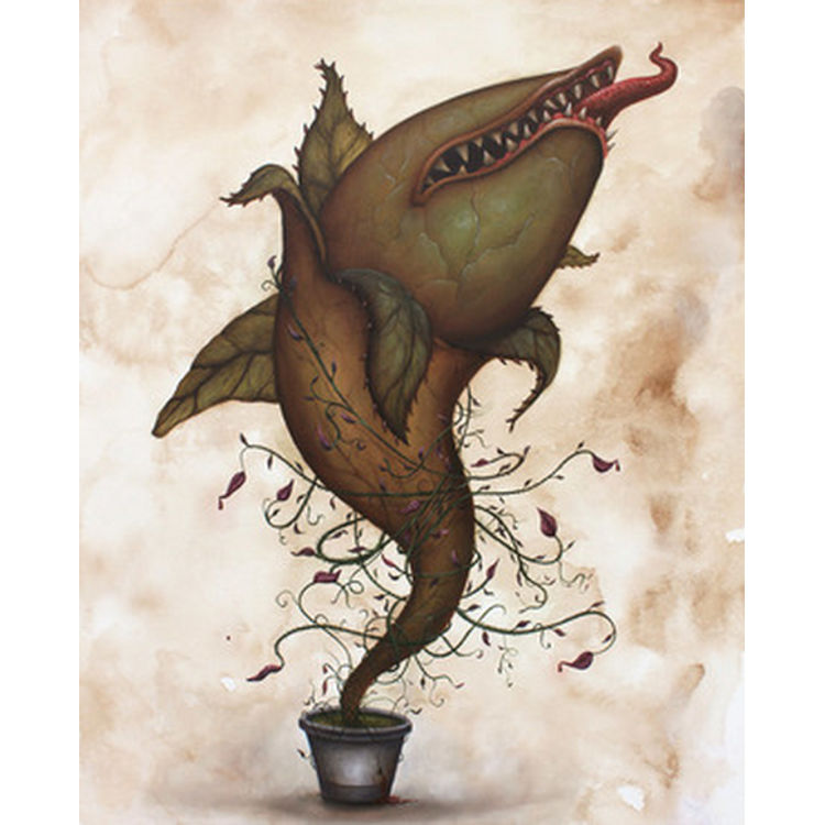 Little Shark of Horrors by Graham Curran