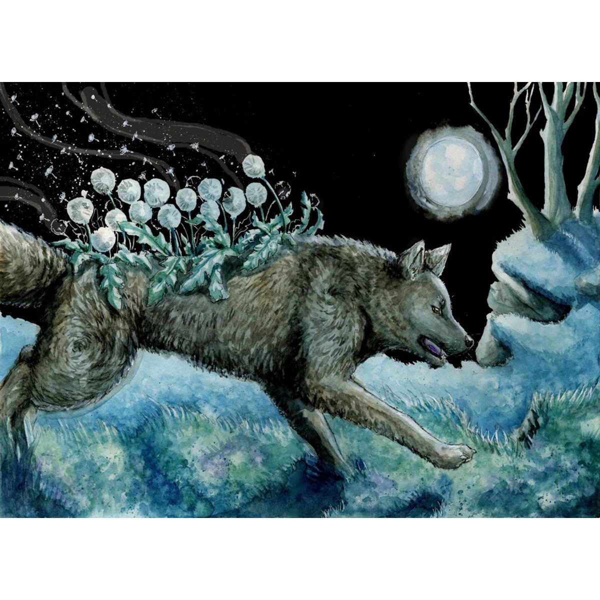 Dandelion Wolf