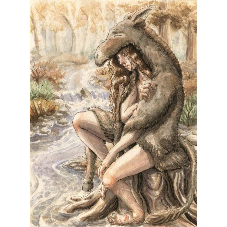 Princess Donkeyskin by EccentricTeatime (Sammy Odette Jacobson)