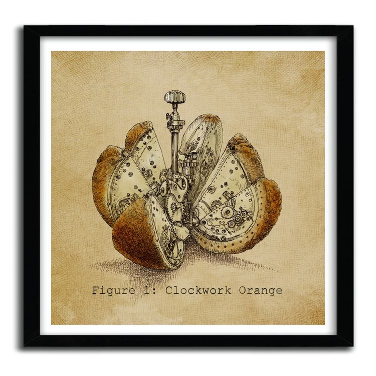 CLOCKWORK ORANGE by Eric Fan