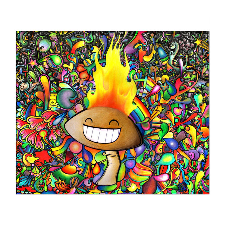 The Shroom is on Fire by Simanion Art