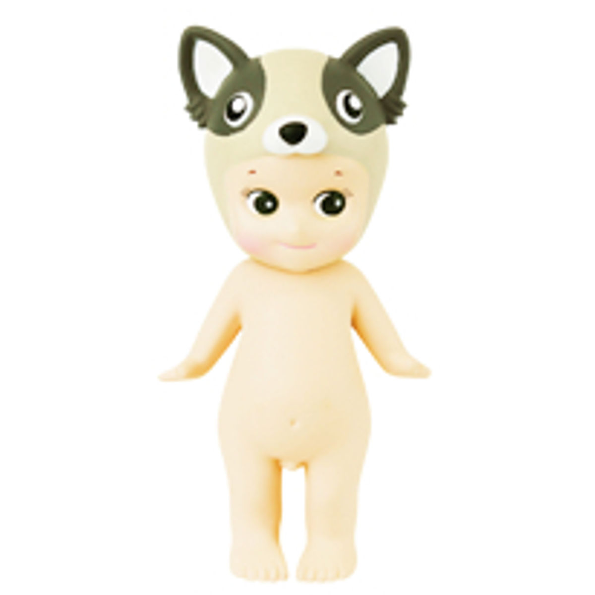 Animal Series 4 - Chihuahua