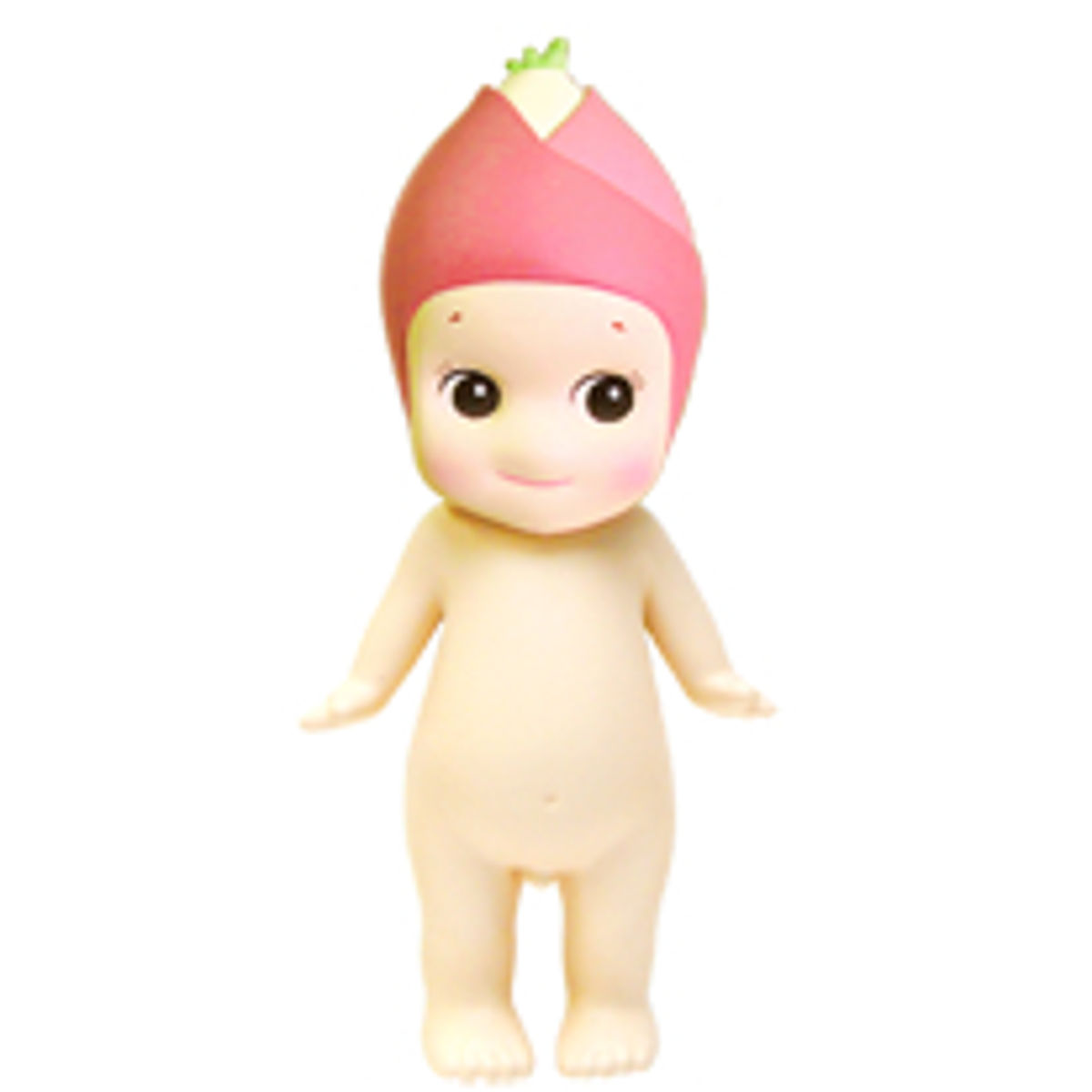 Vegetable Series - Japanese Ginger