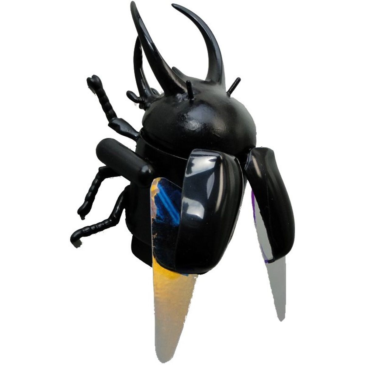 Atlus beetle