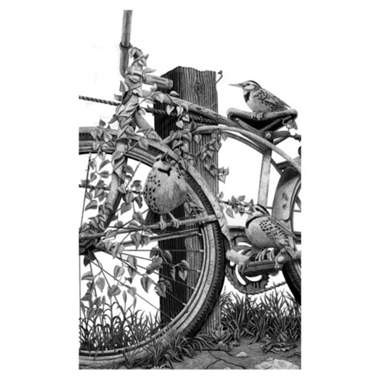 "3 Little Birds" Print by Craig McCudden (Tapecat)