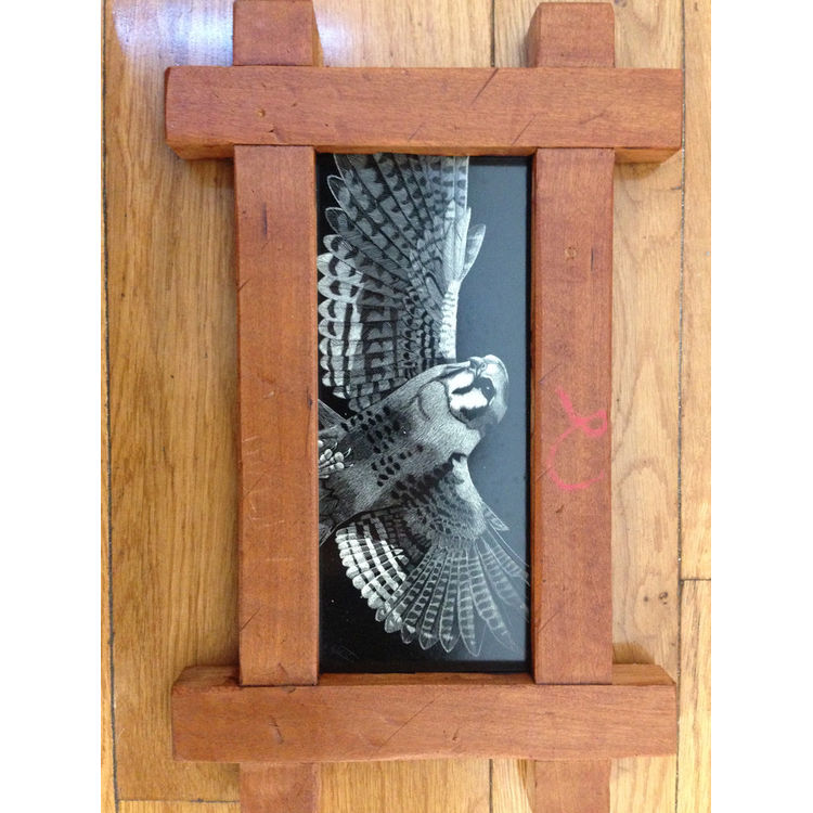 American Kestral by Craig McCudden (Tapecat)