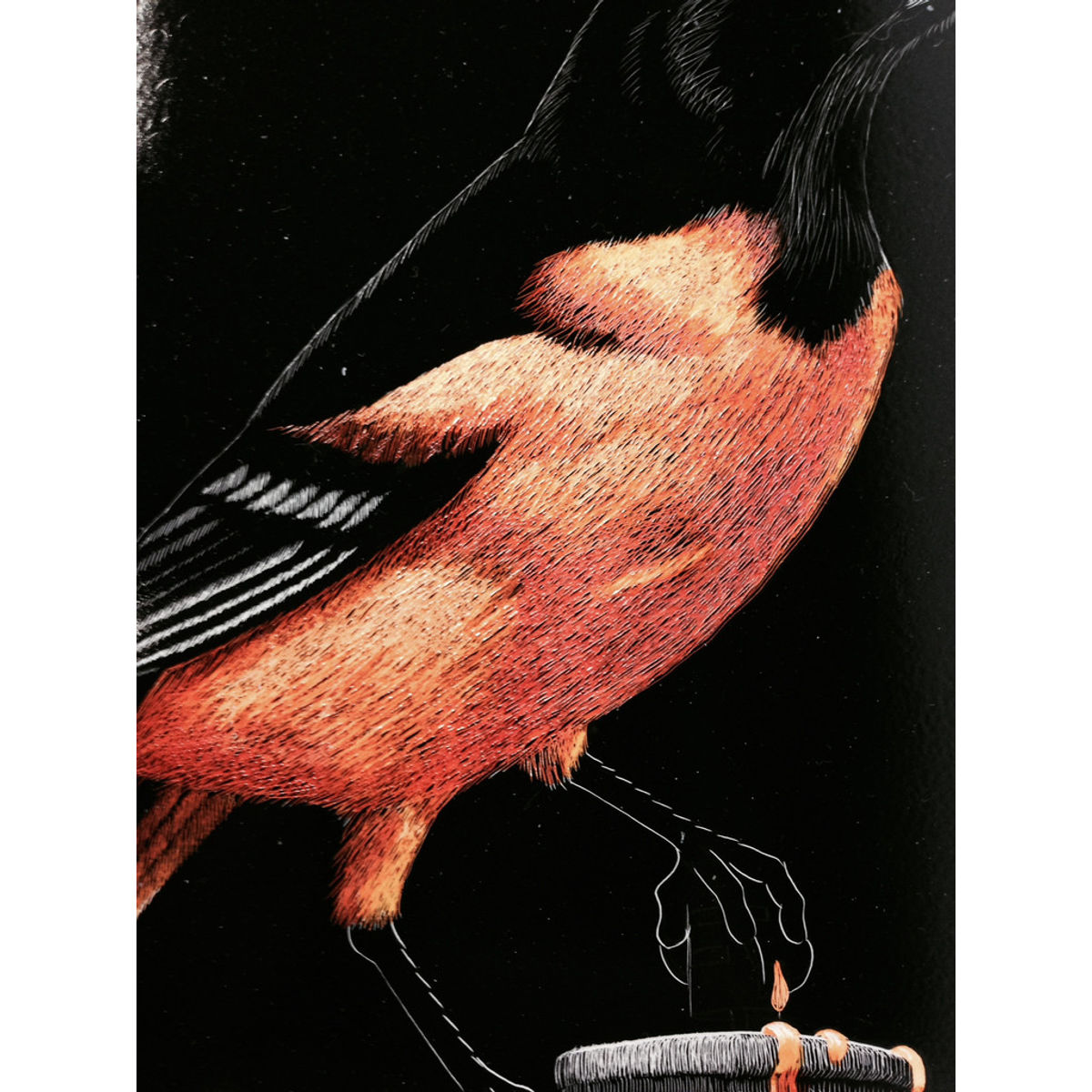Baltimore Orioles