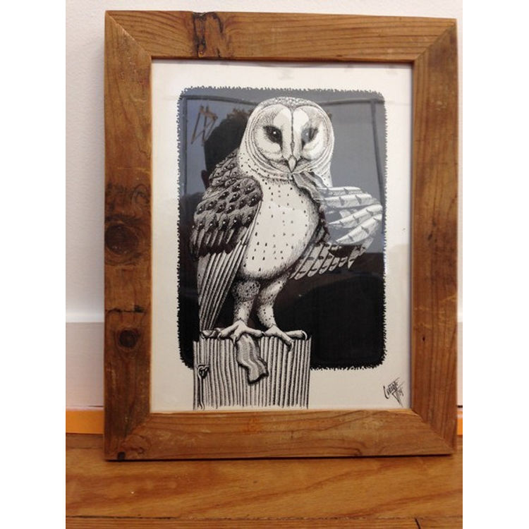 Barn Owl by Craig McCudden (Tapecat)