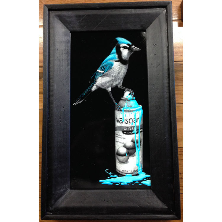 Blue Jay by Craig McCudden (Tapecat)