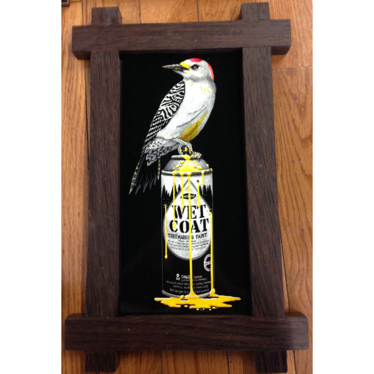 Golden Fronted Woodpecker by Craig McCudden (Tapecat)