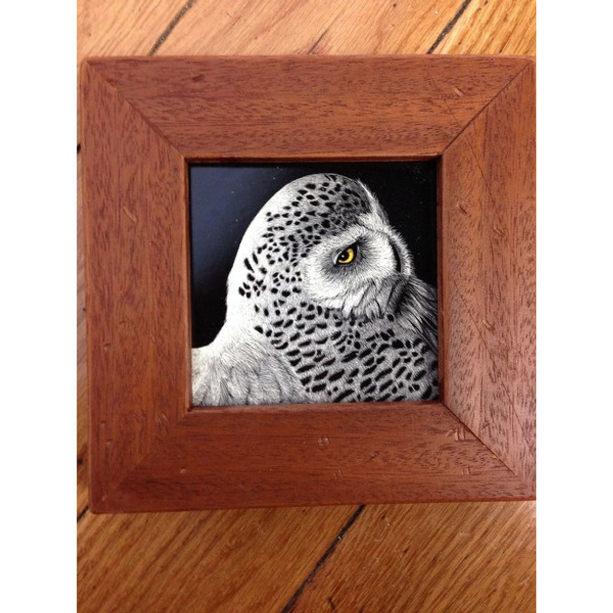 Invasion of the Snowys