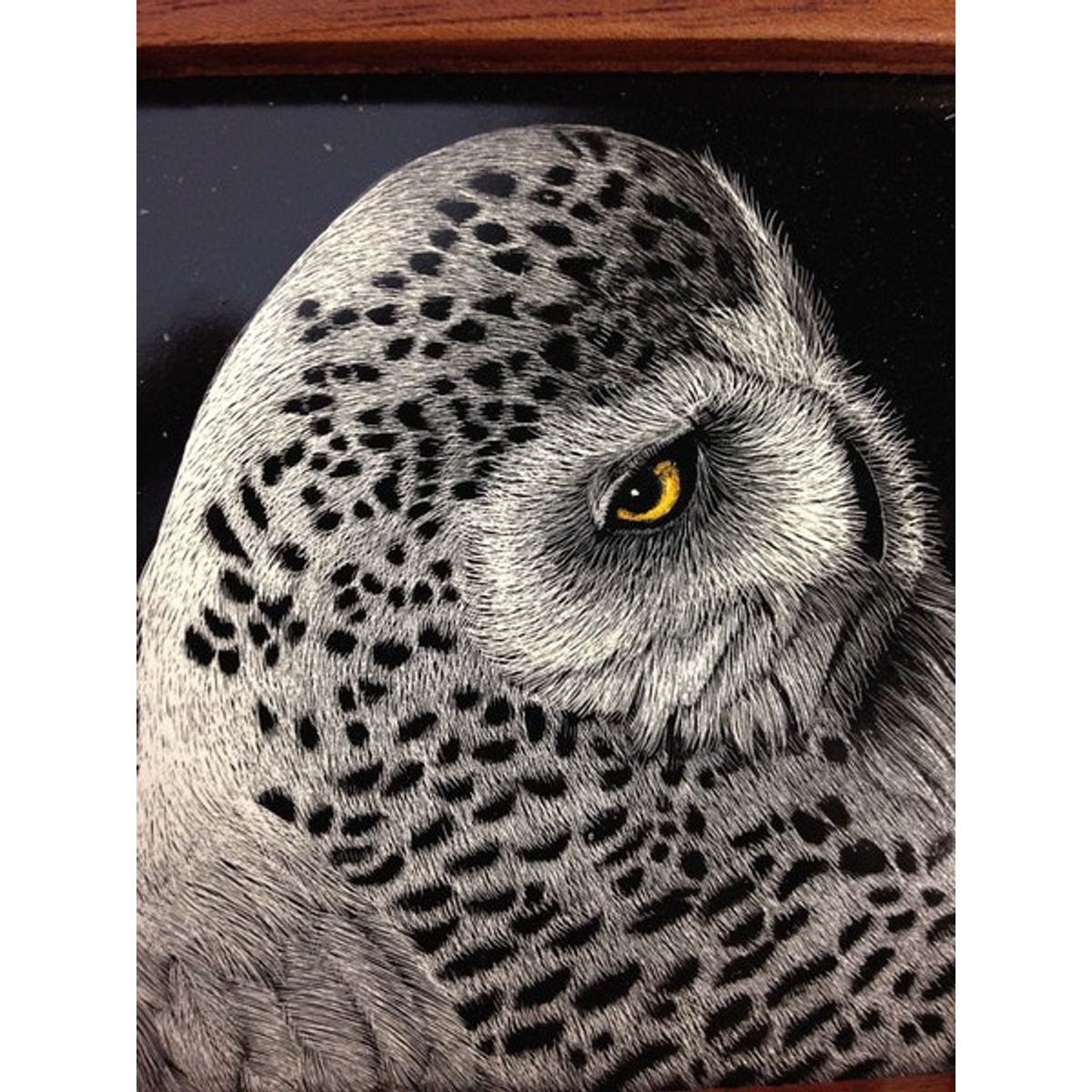 Invasion of the Snowys