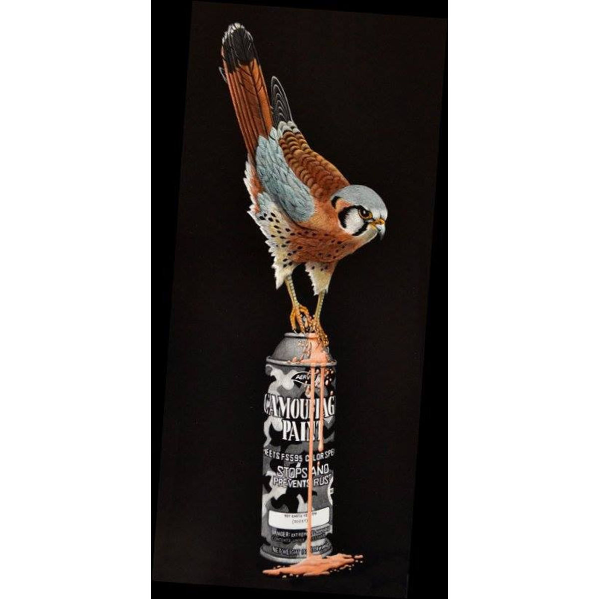 "Kestral" Print