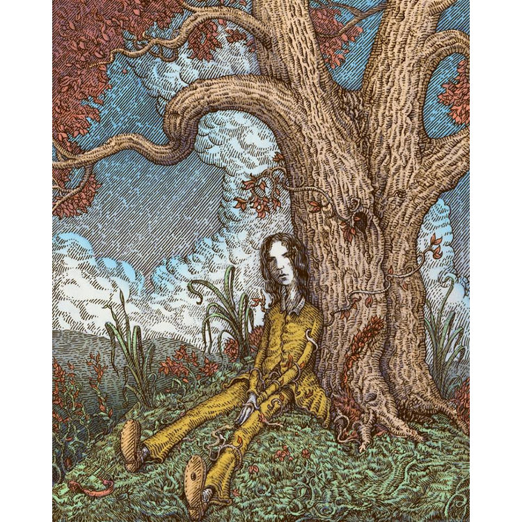 Beck by David Welker