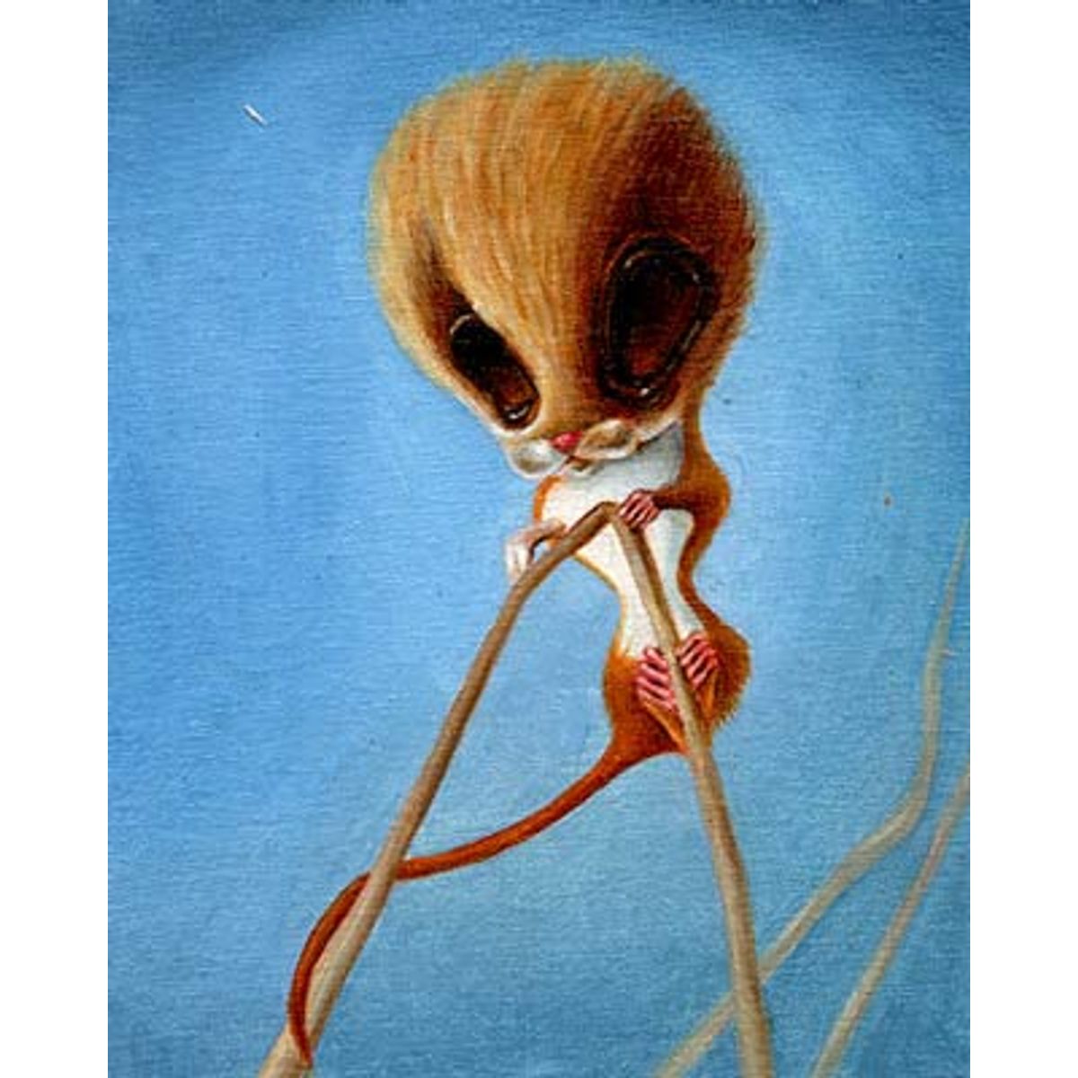 we have come your bloody nut