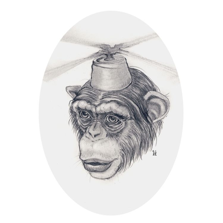 Death From Above Drawing by Ken Keirns