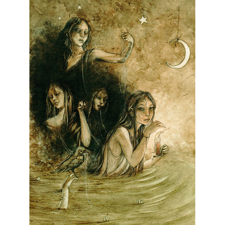 Shadows by Jeremy Hush