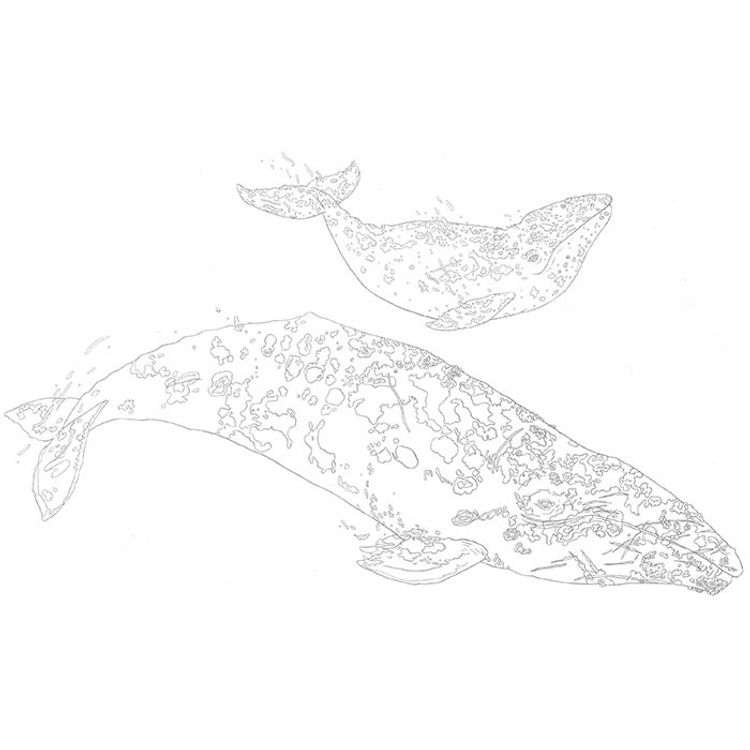 Whale Nucleus by Kozyndan (Kozy Kitches)