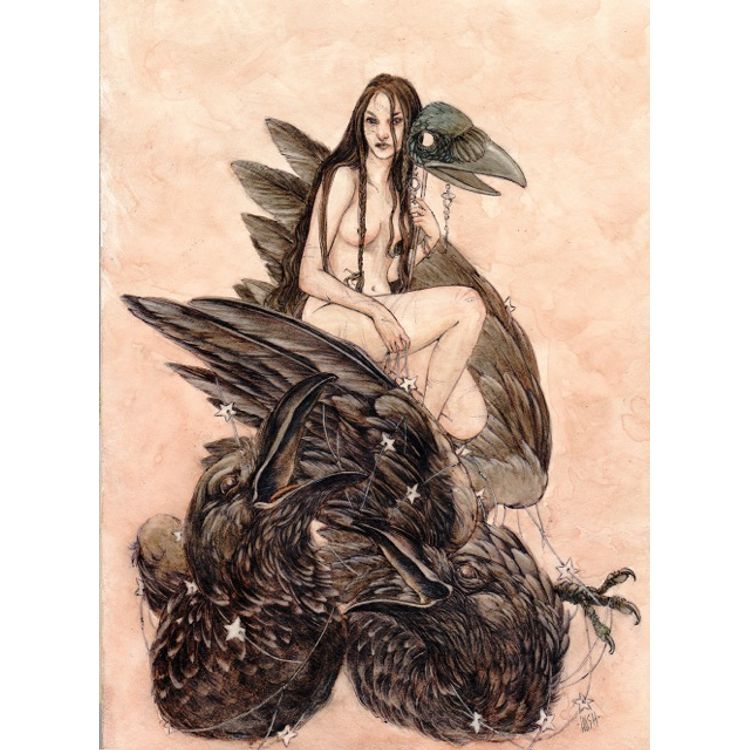 A Vicious Stare by Jeremy Hush