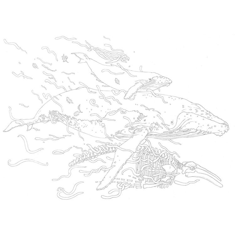 Whale Fall Cycle by Kozyndan (Kozy Kitches)