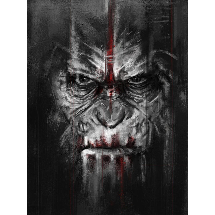 Caesar's Vengeance by Robert Bruno