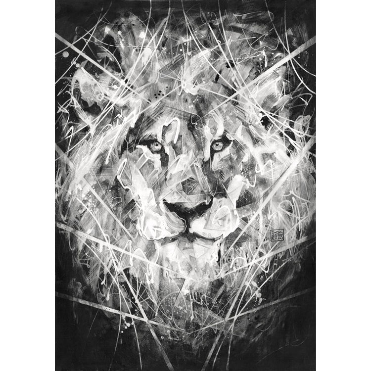 Lion by Danny O'Connor