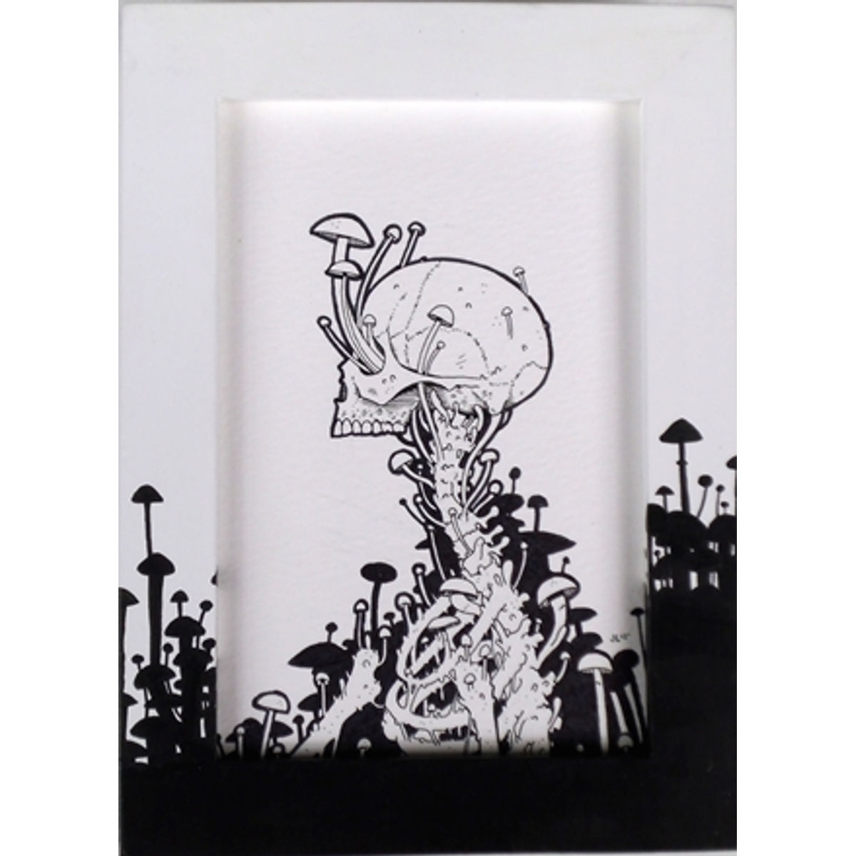 The Mycologist