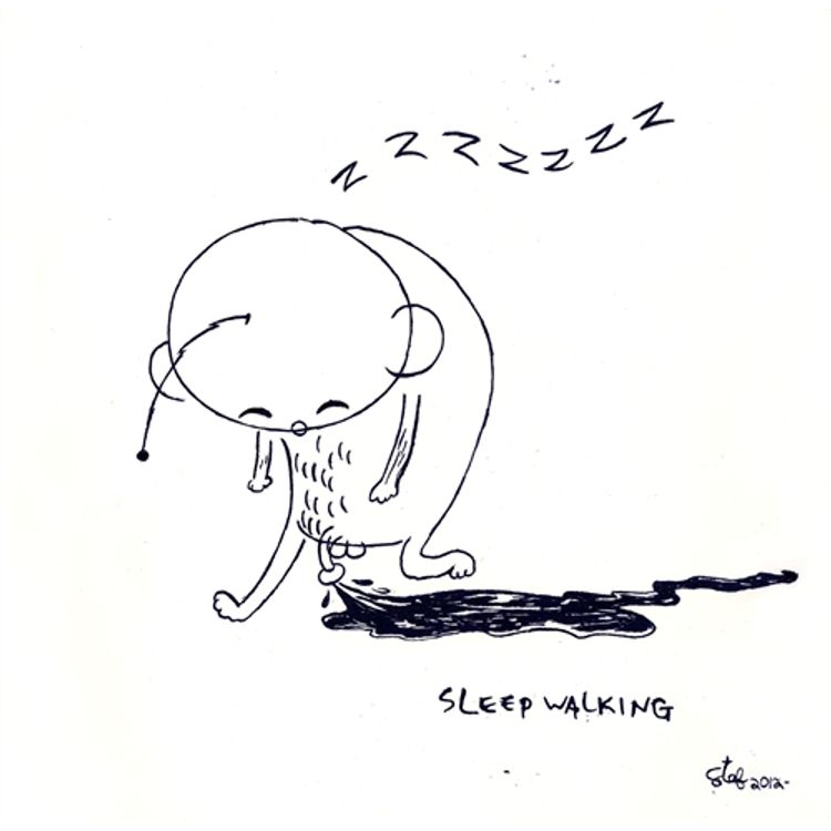 Cochino: Sleepwalking by Stef Choi