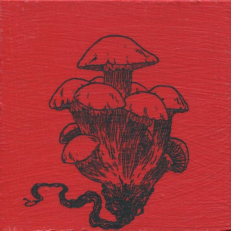 Red Mushrooms by Deth P. Sun