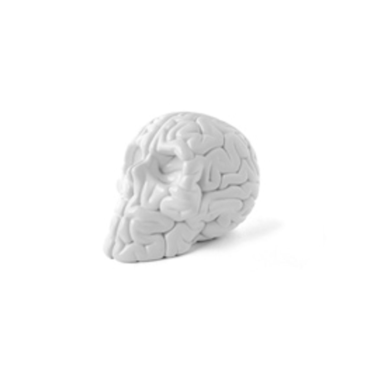 Mini Skull Brain (white)