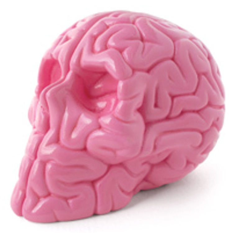 Mini Skull Brain - pink by Emilio Garcia