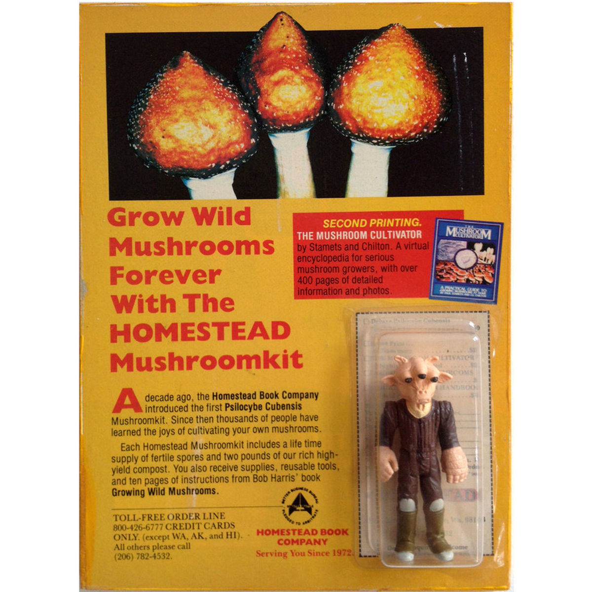 Grow Your Own Mushrooms