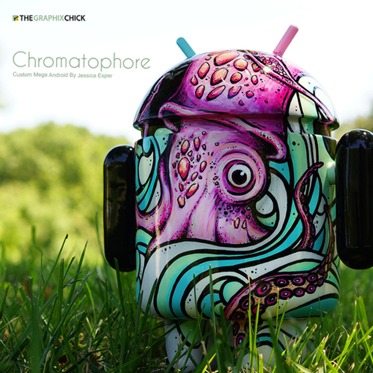 Chromatophore