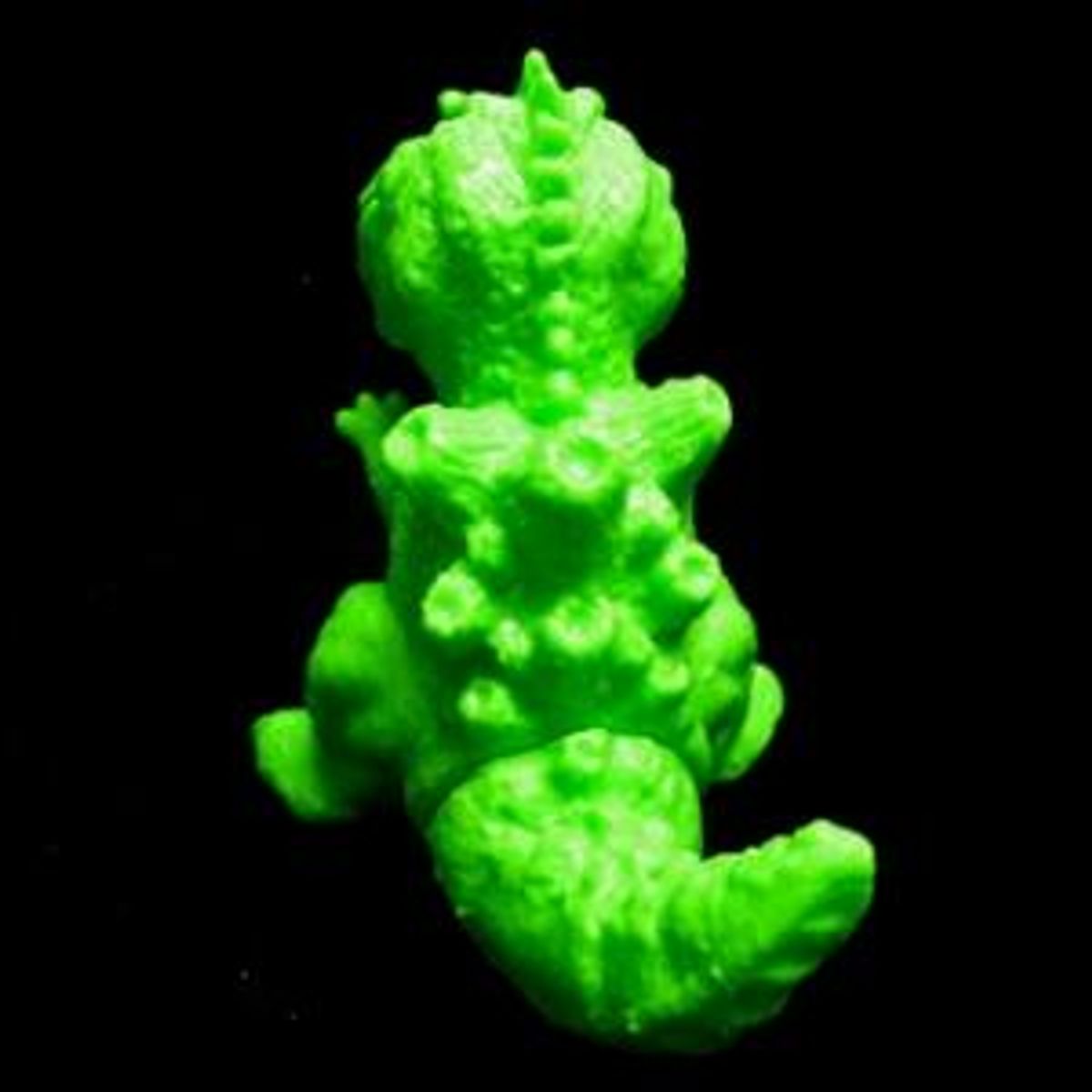 KAMIKAZE Fluorescent Green