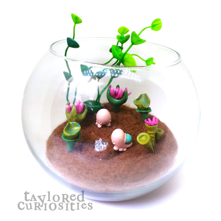 Spriggledop Terrarium by Taylored Curiosities