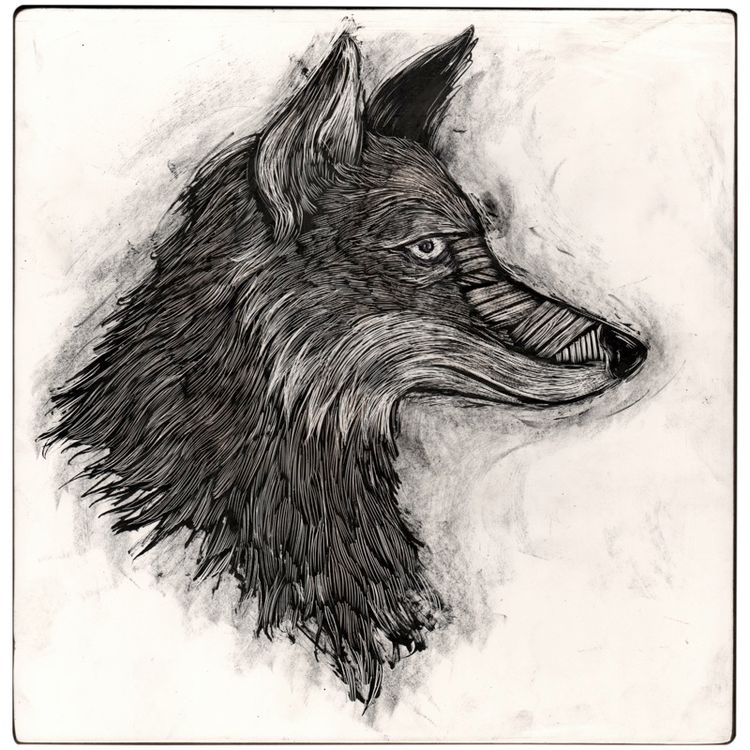 Urban Coyote by Dan Gzeca
