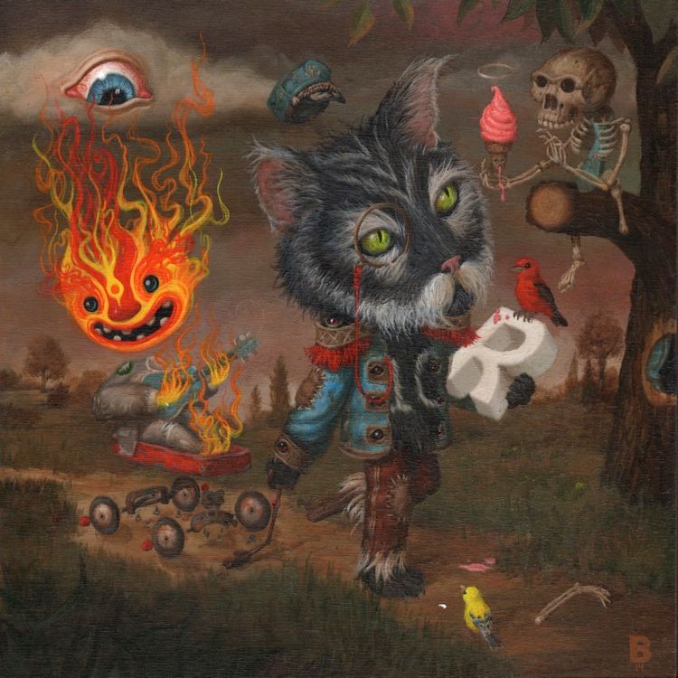 The Cat And The Sun by Mark Brown