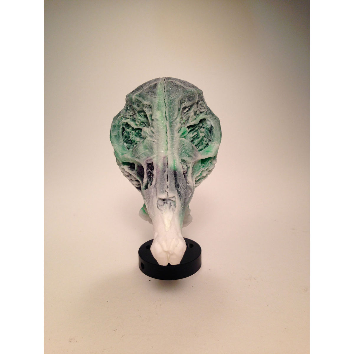 Infected Mouse (Green/Blue)