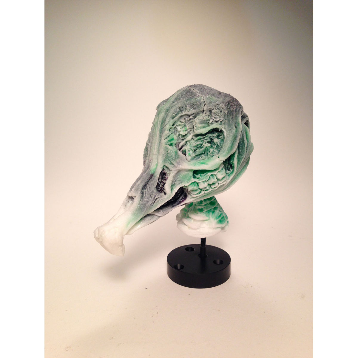 Infected Mouse (Green/Blue)