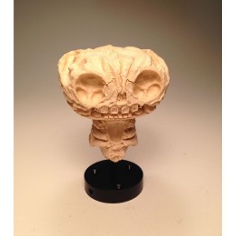 Infected Mystery (Bone) by Scott Wilkowski