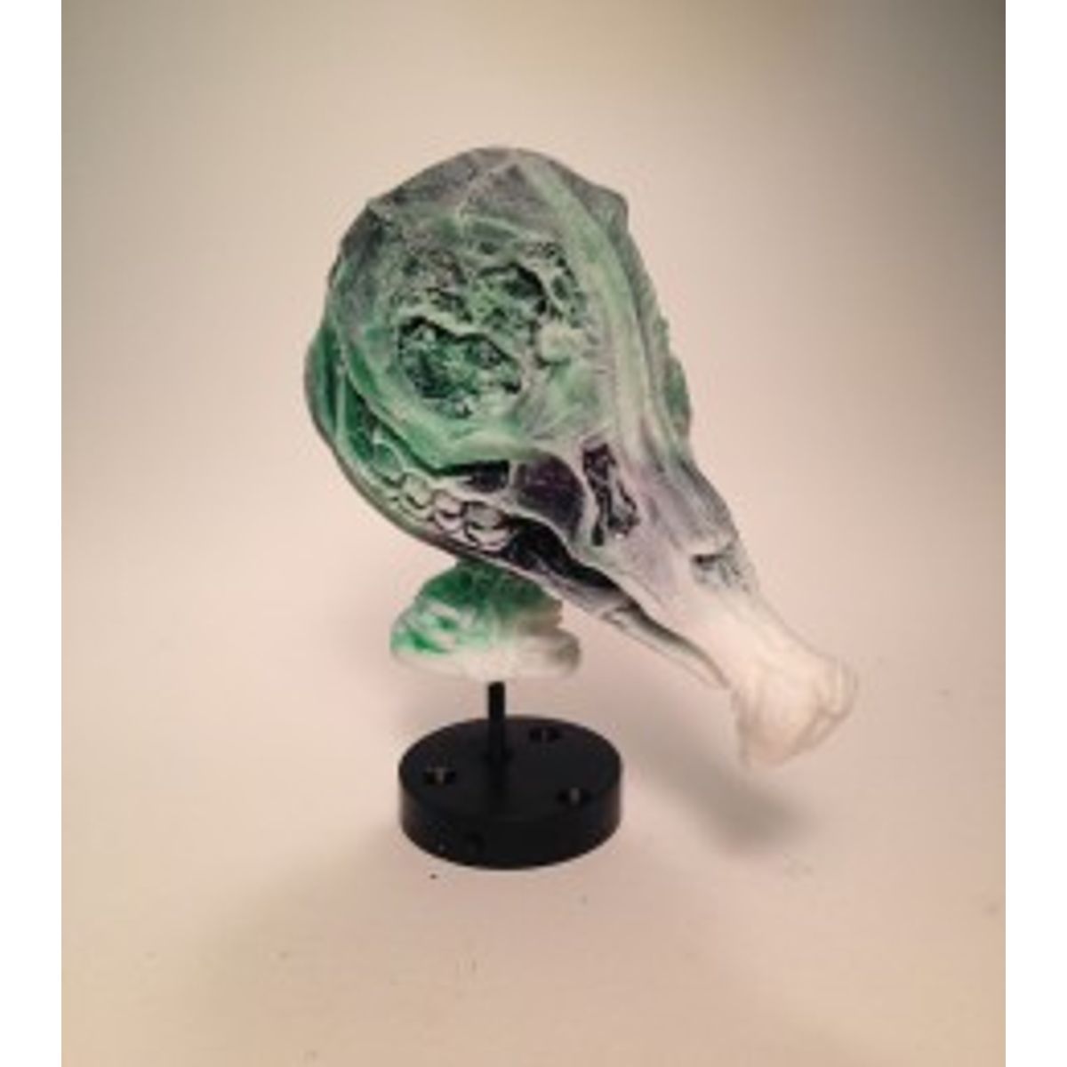 Infected Mouse (Green/Blue)