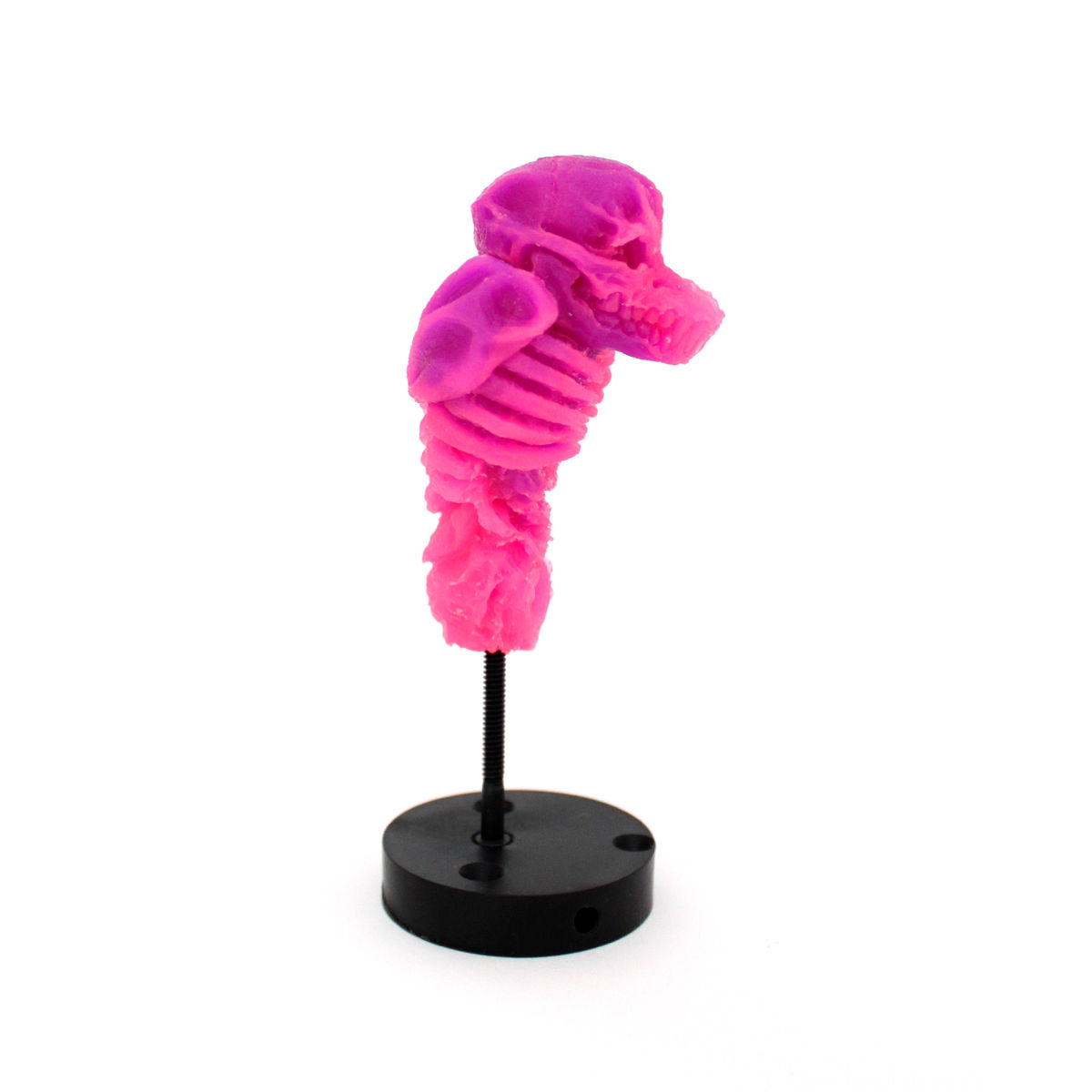 Inner Beast (Translucent Purple/Pink)