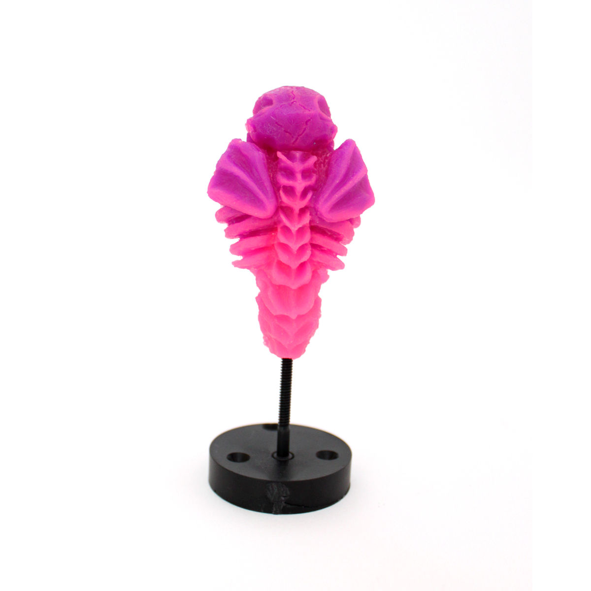 Inner Beast (Translucent Purple/Pink)